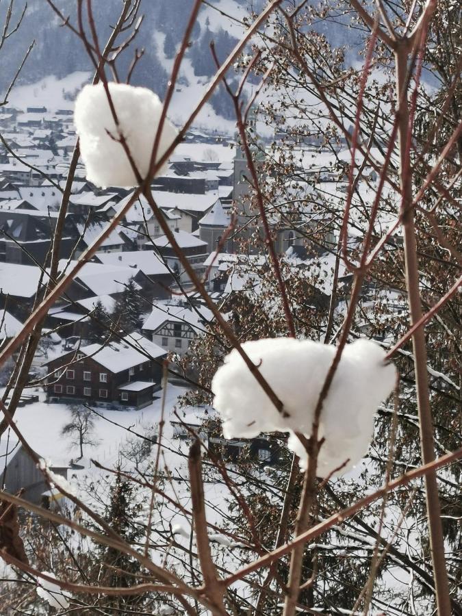 Ferienwohnung An Der Alten Saege Bezau Exteriör bild