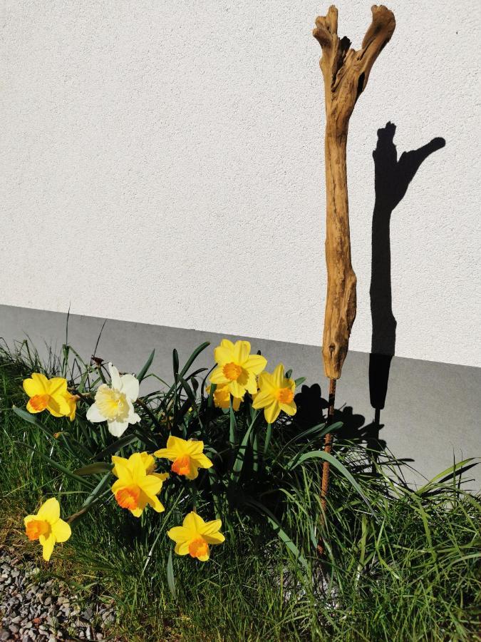 Ferienwohnung An Der Alten Saege Bezau Exteriör bild
