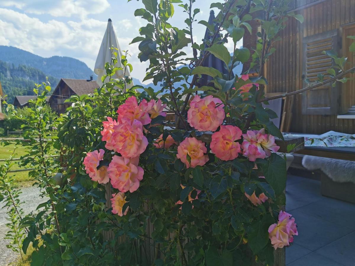 Ferienwohnung An Der Alten Saege Bezau Exteriör bild